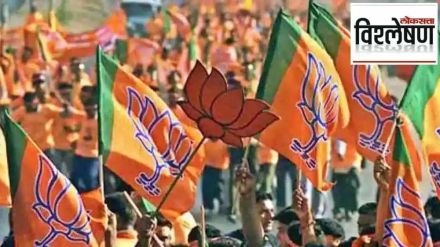 Why was Bharatiya Janata Party defeated in a stronghold like Vidarbha