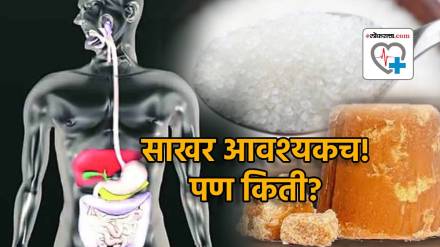 Your body needs 5 grams sugar find out where Extra Sugar goes in Body