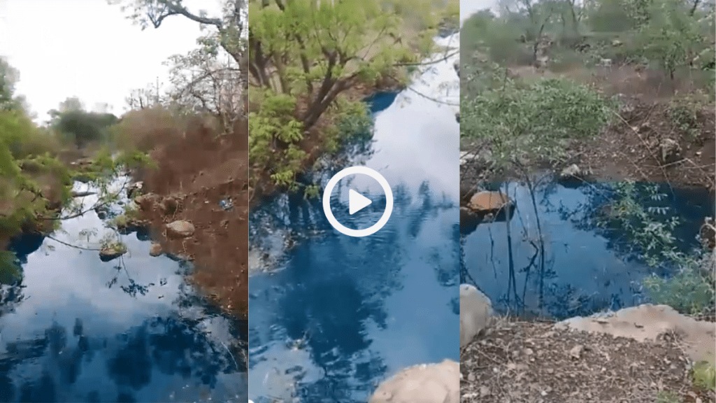 Maharashtra Viral Video Blue coloured water flows in Dharashiv after Heavy Rain Watch