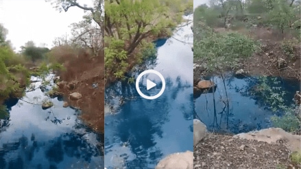 शेतात पडली वीज अन् निळ्या रंगाचं झालं पाणी? काय आहे Viral Videoचं सत्य
