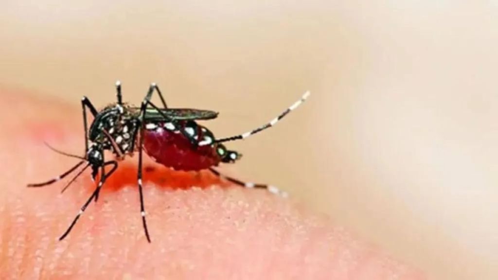 Increase in number of Dengue patients in Vidarbha