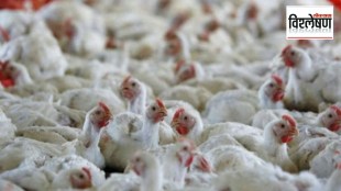 First human death from H5N2 bird flu virus transmission