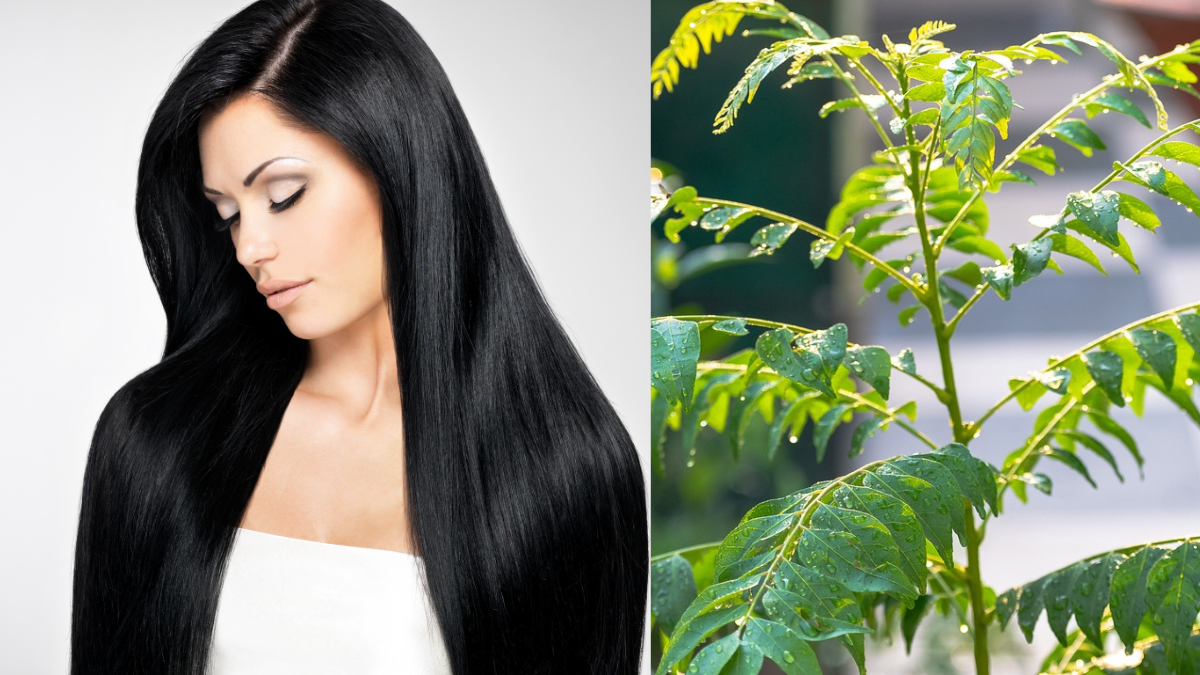 White hair remedy to turn white hair to black curry leaves for and amla juice for white hair