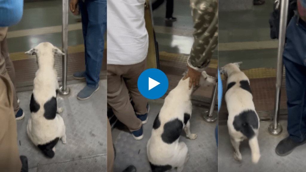 Viral video shows dog travelling in Mumbai local netizens say smarter than many Mumbaikars snk 94