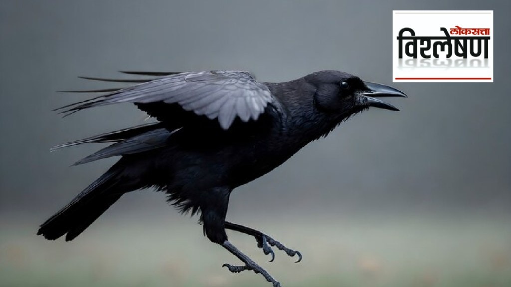 Indian House Crows vs Kenyan government