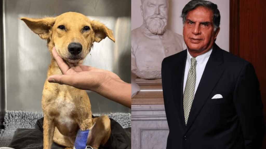 Mumbai I need your help Ratan Tata’s urgent plea to find blood donor for stray dog