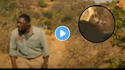 Lion attack on man shocking video goes viral