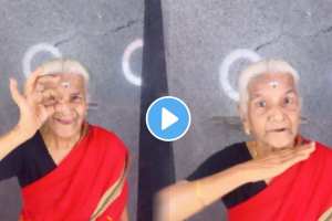 grand mother stunning dance on the song Sooseki from Pushpa 2