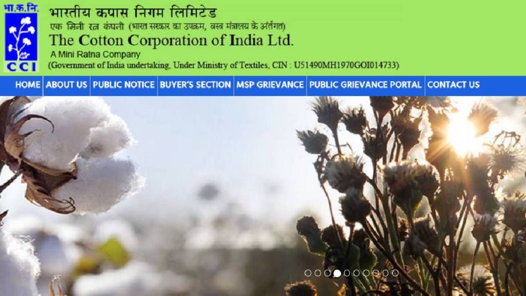 The cotton corporation of India ltd Recruitment 2024 Apply for Different 214 Vacancies Starting till 2 July including Assistant Manager