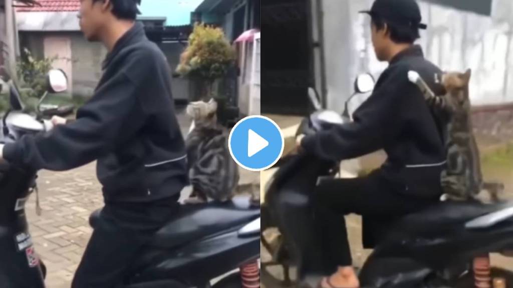 Viral Video the cat style of Sitting On a bike in the video will make you laugh too must watch This Funny Scene