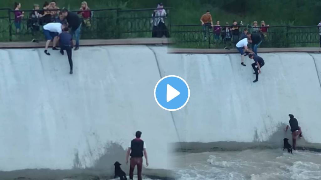 A group of people Make A human chain to rescue a dog stuck in a water reservoir watch this heartwarming Viral video