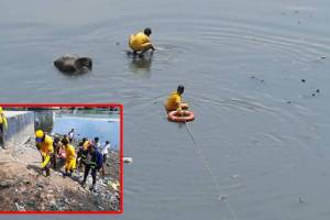 people jumped, Thane Bay,