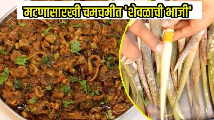 raan bhaji shevalachi bhaji how to make shevlyachi bhaji at home dragon stalk yam recipe