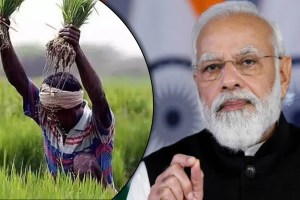 Union Cabinet approves MSP for 14 Kharif crops Marathi News