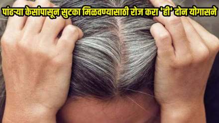international yoga day 2024 yoga for grey white hair avoid home remedies do these 2 yoga for grey and white hair problem