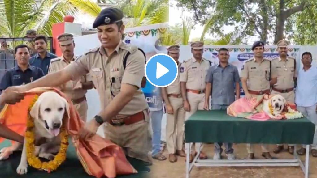 Retirement ceremony of Tara Dog Who Golden Retriever known for her expertise in detecting explosives 12 years in the service