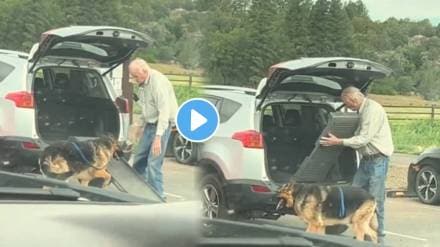 Elderly Man Setup slider is set up to make a ramp for the ageing dog to help it get into the car Netizens said close friends Watch Beautiful Video