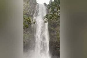 Kelavali waterfall, Satara,