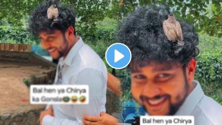 Bird Sitting On Man Frizzy Curly Hair bird confuse and finds warmth in his frizzy nest like hair watch funny viral video ones