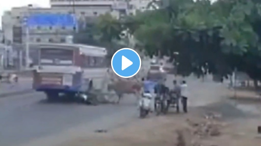 Video: Tamil Nadu man knocked off bike by fighting cows