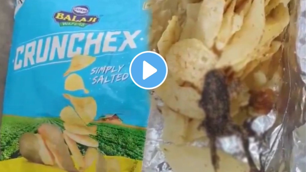 Fried frog found in packet of Balaji Wafers in Jamnagar video goes viral