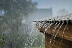 Heavy rains forecast till Wednesday in Konkan Madhya Maharashtra Vidarbha