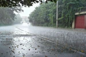 Orange Alert of rain in Vidarbha for next 24 hours