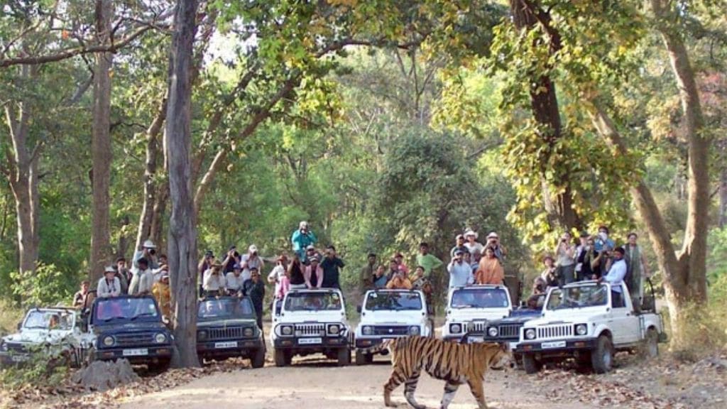 Tiger Safari in Chandrapur like Singapore Visit of 15 senior officers of Forest Department to Singapore and Dubai