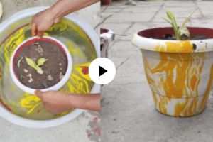 Jugaad Video how to Paint plants Pots in just five minuts