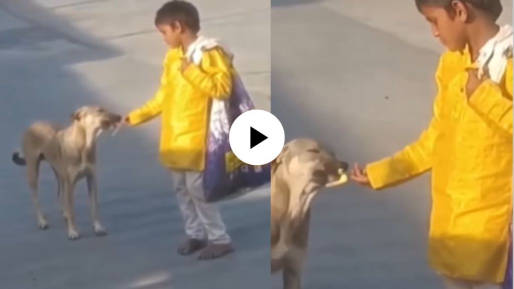 a poor child feeding ice cream to the street dog