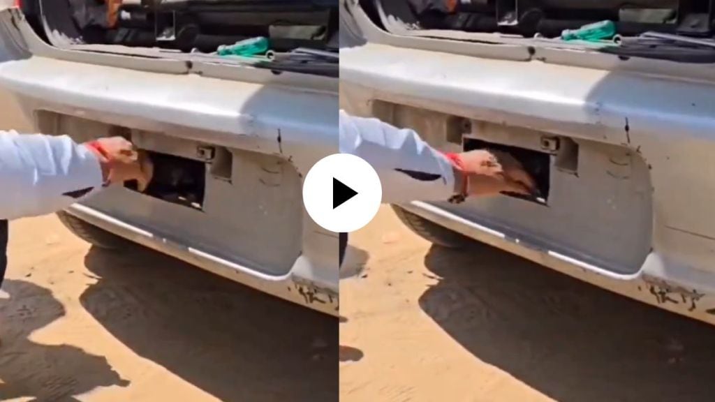 a young man hides wine bottle in secret locker of vehicle