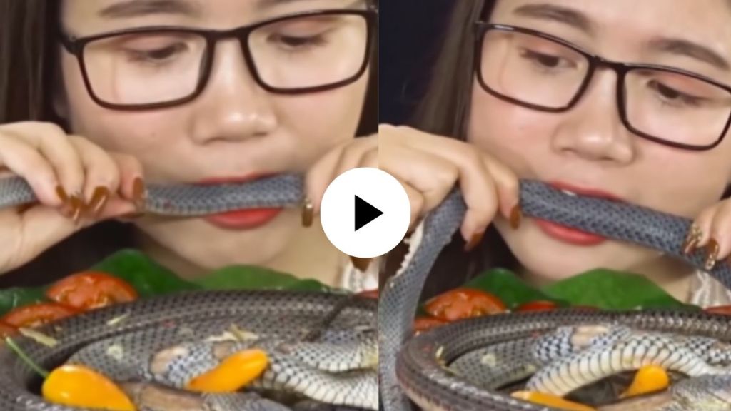 a young girl eats snake