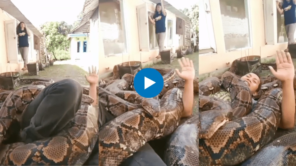 Viral video shocks internet as man smiles while entwined by giant python watch