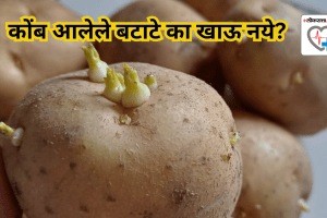 Why you should steer clear of sprouted potatoes