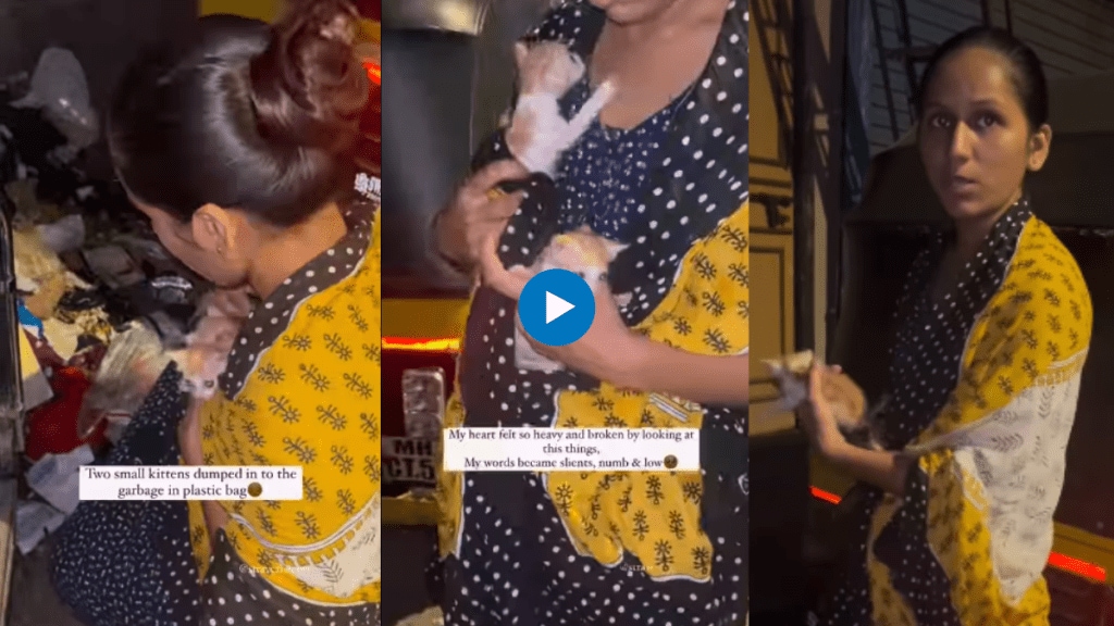 Woman rescues abandoned kittens from garbage dump Video is heartbreaking