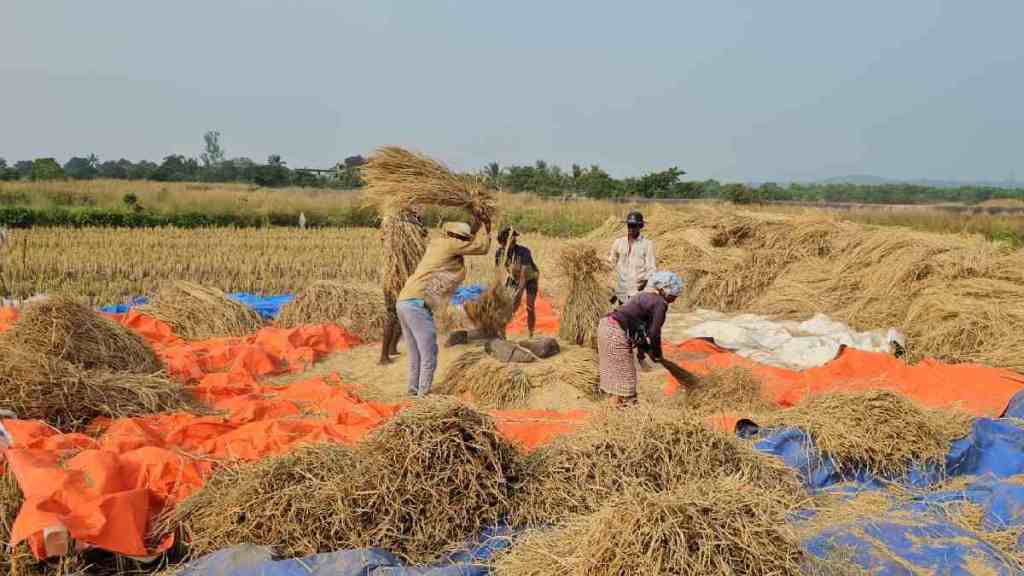 Distribution of Agricultural Awards, Distribution of Agricultural Awards Stalled for Three Years, Distribution of Agricultural Awards in Maharashtra, agriculture award in Maharashtra,