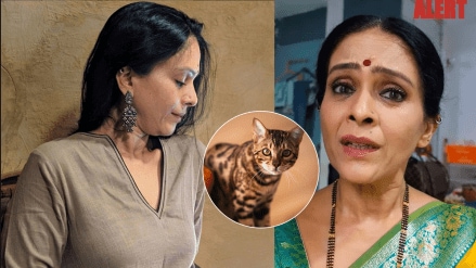 Aishwarya narkar shared a shocking incident where kittens were found inside the car bonnet