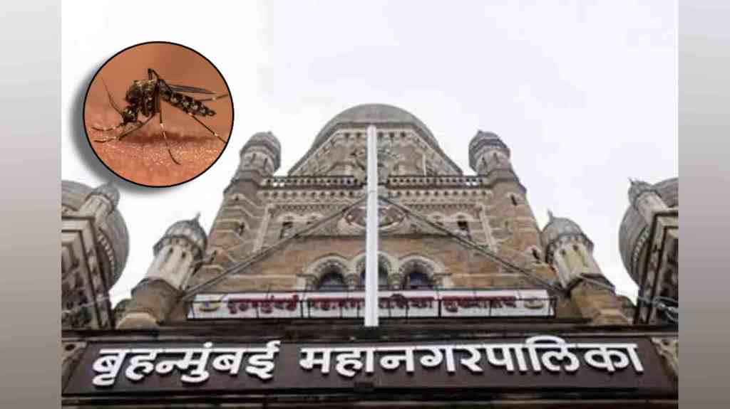 Mumbai Municipal Corporation, bmc, bmc Faces Challenges in Preventing Mosquito Breeding, preventing mosquito breeding,