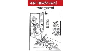 loksatta cartoon for the month of June 2024