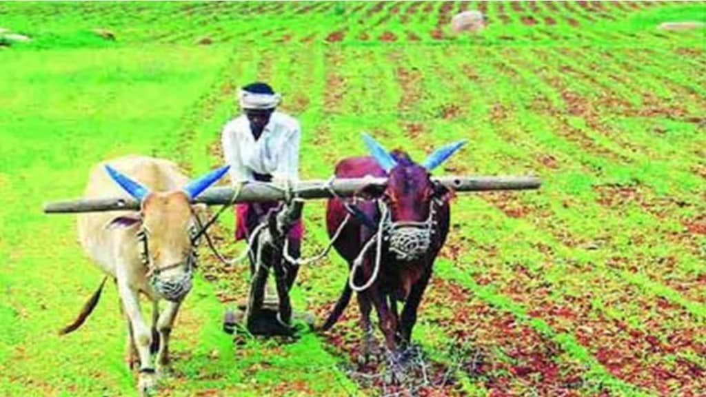 india still a agriculture based country