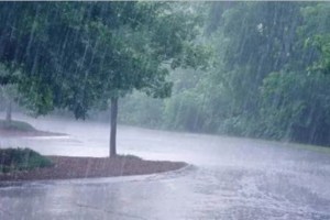 monsoon in chandrapur marathi news