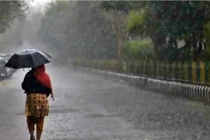 vasai rain latest marathi news