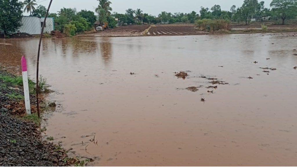 Kolhapur rain marathi news