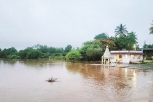 sangli rain marathi news