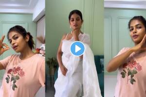 tujhyat jeev rangala fame actress dhanashri kadgaonkar dances on pushpa 2 song