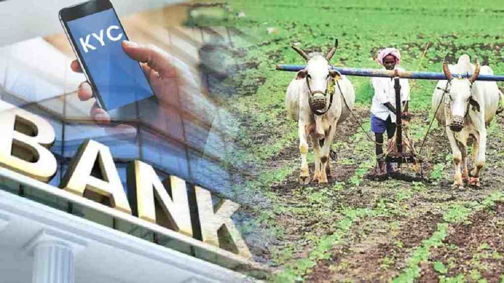 nashik farmers, Nashik Farmers Deprived of aid, government aid KYC and Bank Account Aadhaar Linkage Issues, kyc issues, drought affected farmers, heavy rain affected farmers, nashik news,