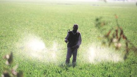 Shortage of DAP fertilizer in the state imports from the world reduced