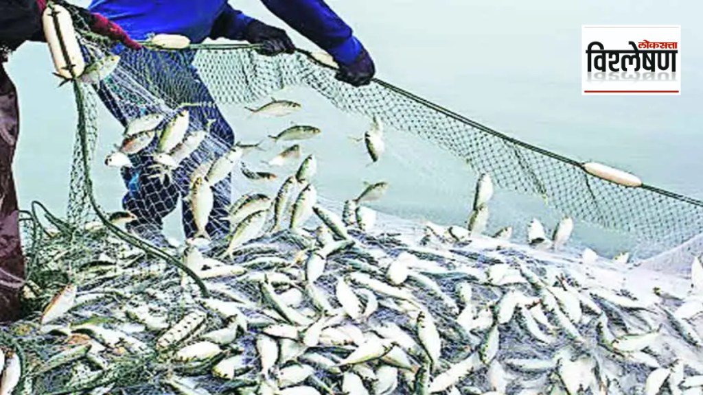 Where is India in global fish production El Nino decrease in fish production