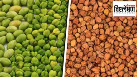 chickpea shortage in india