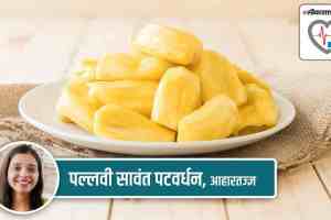 jackfruit, jackfruit called vegan food, jackfruit called meat, health special, health article, health benefits, marathi health article, marathi article,